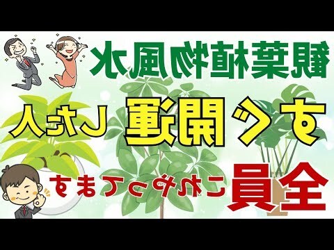 廁所植物 風水